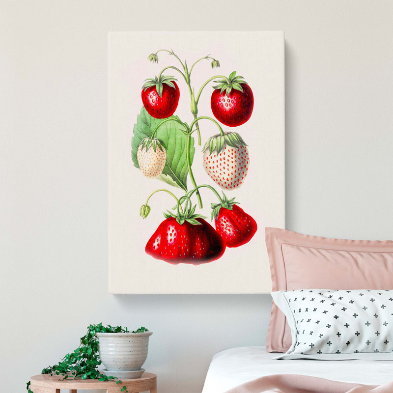 An Illustration Of Strawberries - Wrapped Canvas Painting, 60cm H x 40cm W x 3cm D