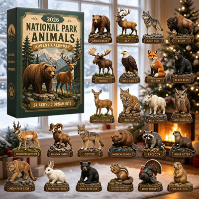 Calendrier de l'Avent de Noël en plein air, 24 jours, compte à rebours avant Noël, boîte surprise, accessoires de camping et de randonnée portatifs, cadeau idéal pour les amoureux de la nature.
