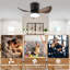 Ceiling Fan-799474053-799474057