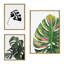 EV Monstera, 582 Monstera and Monstera Leaves by Jessi Raulet of Ettavee Framed Canvas Wall Art Set