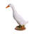 Duck Statue