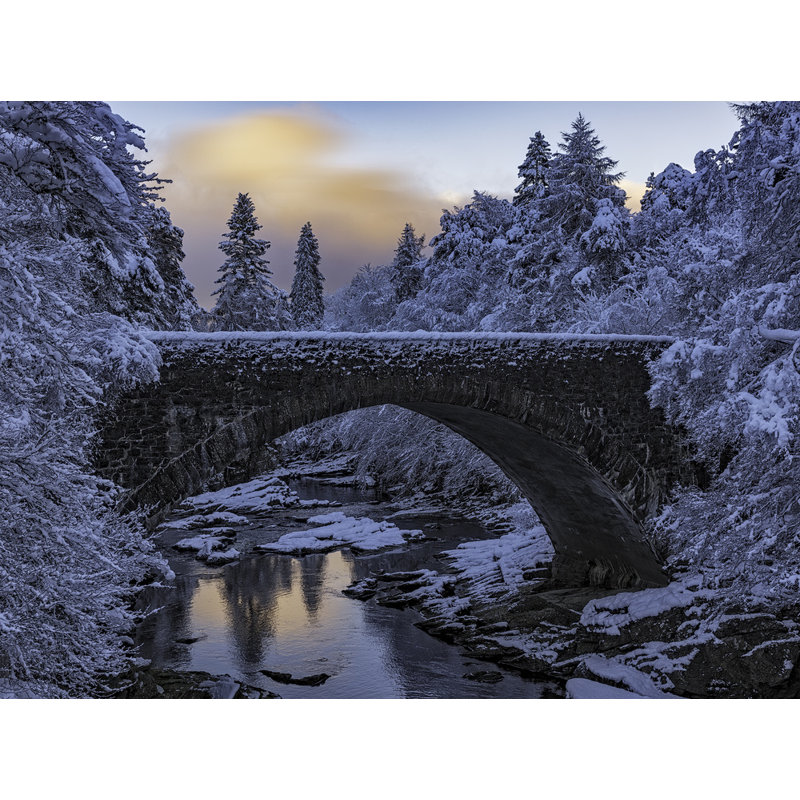 Wrapped Canvas Print, 50.8 cm H x 76.2 cm W