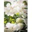 72" Artificial Hydrangea Garland
