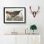 Great American Hen by John Audubon - Picture Frame Painting Print-55575249-55575246