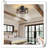 Museau Ceiling Fan with LED Lights