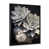 Black Picture Framed