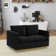 Berengarius 55" Modern Loveseat Upholstered in Velvet with Removable Cushions