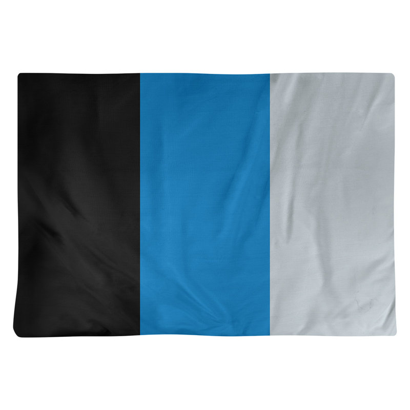 Récapitulatif 18" basket Orlando, Noir / bleu / argent, Polyester