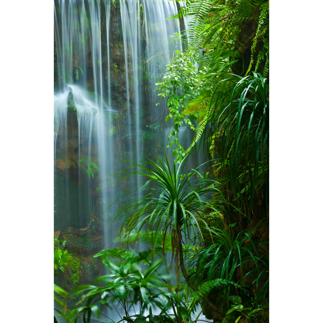 Wasserfall von Ithinksky - Kunstdrucke auf Leinwand ohne Rahmen