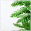 Arbre de Noël classique avec des branches denses, convient pour Halloween et Noël-520108763