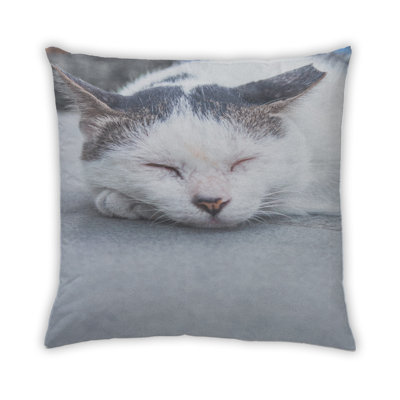 Coussin Cat Cats 24