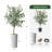 66'' Faux Eucalyptus Plant in Planter-85806657