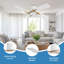 48inch 4 White Blades Dc Motor Indoor Flush Mount Ceiling Fan With Remote, White and Gold-2072707662-2072707658
