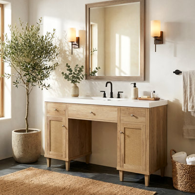 Elloree 60" Single Bathroom Vanity with SMC Sink & Storage