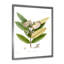 " Vintage Blossoming Flower II " Painting Print-59815253-59815254
