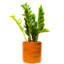 Pot Planter