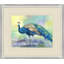 Peacock Reflections 2 Print