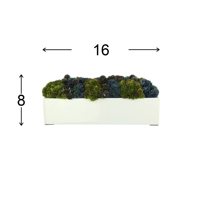 Sedum and Lucky Berry Arrangement in Fiberstone Planter