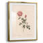 Imprimé floral rétro CXL III - impression encadrée-300144870
