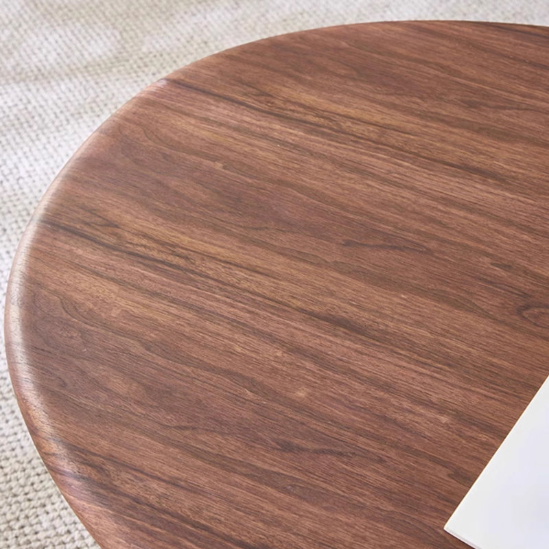 Petal modern and simple coffee table