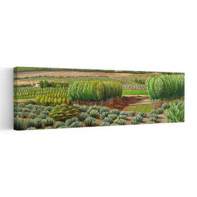 Green Valley Farmland Peaceful Rustic Serene Succulent Landscape Nature Wall Art