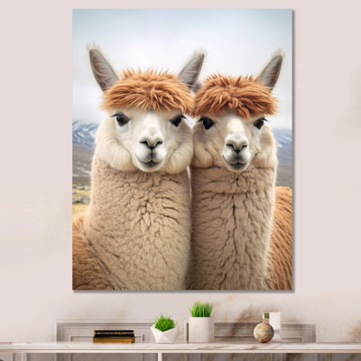 " Alcapas Curious Companions Two "