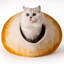 Lit pour chat Daiden-215824238