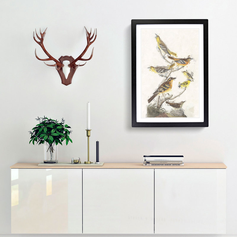 A Collection of Birds by John Audubon - Framed Print, 45cm H x 33cm W x 2cm D, Black Framed