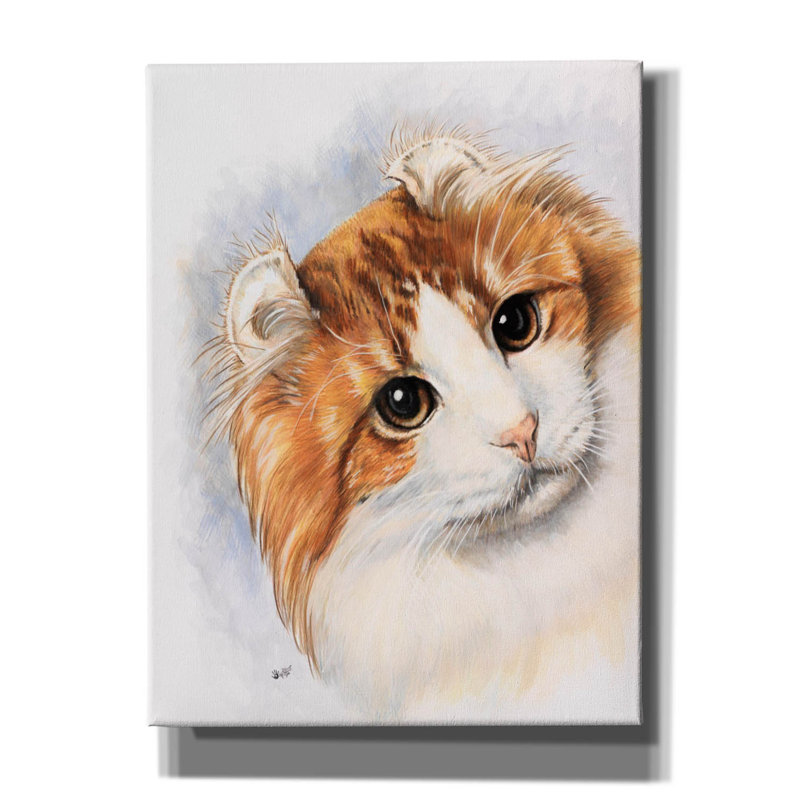 «American Curl 2 on Canvas» par Barbara Keith, reproduction, H 16 po x l 12 po x P 0,75 po