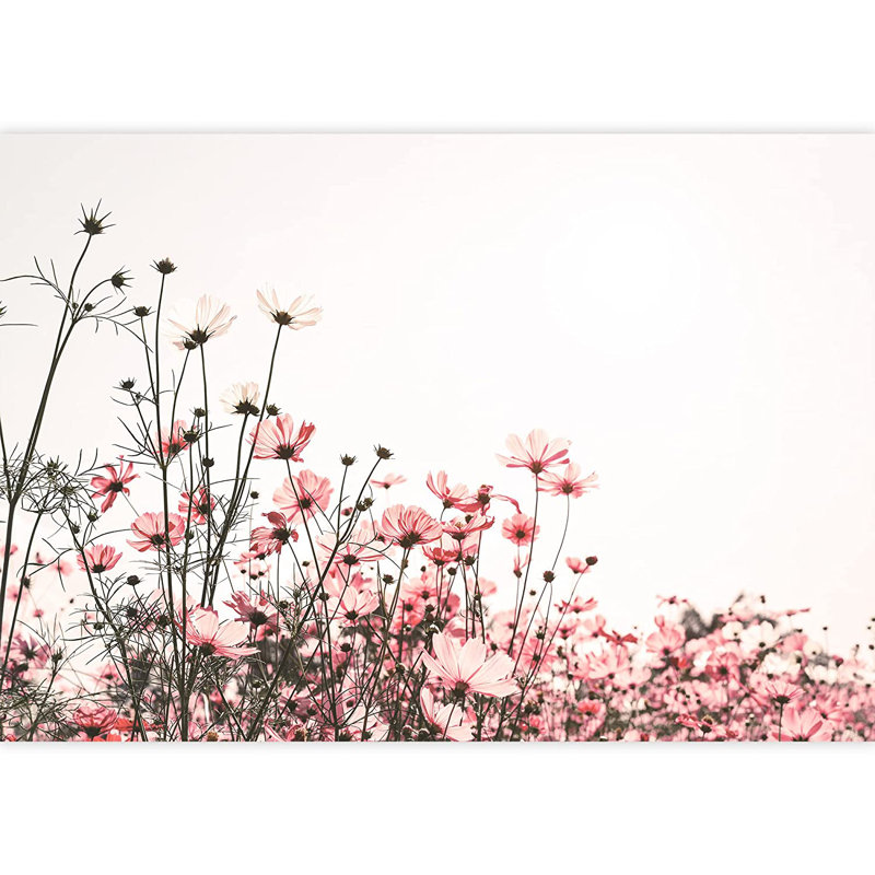 Scénique champ de fleurs sauvages roses, L 66 po x l 96 po