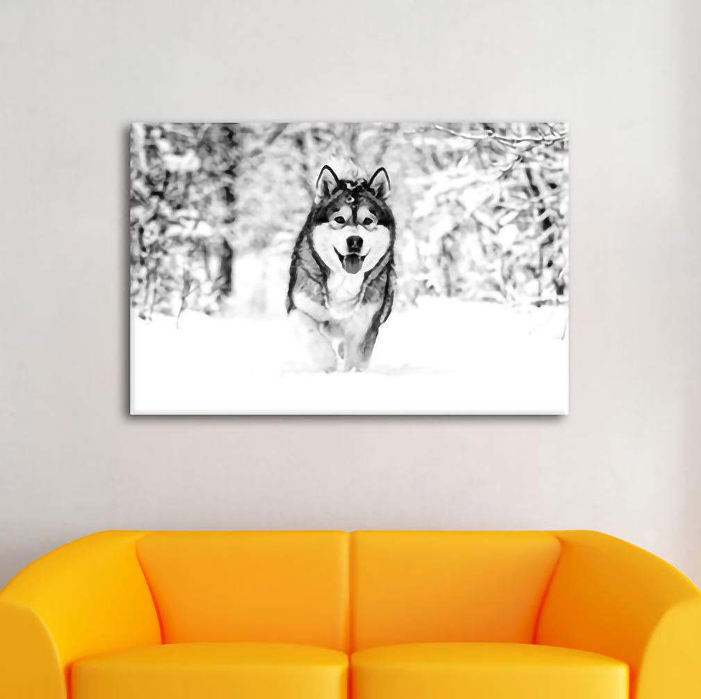 Leinwandbild Siberian Husky in Winter Forest