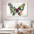 Butterfly Colors-107671712