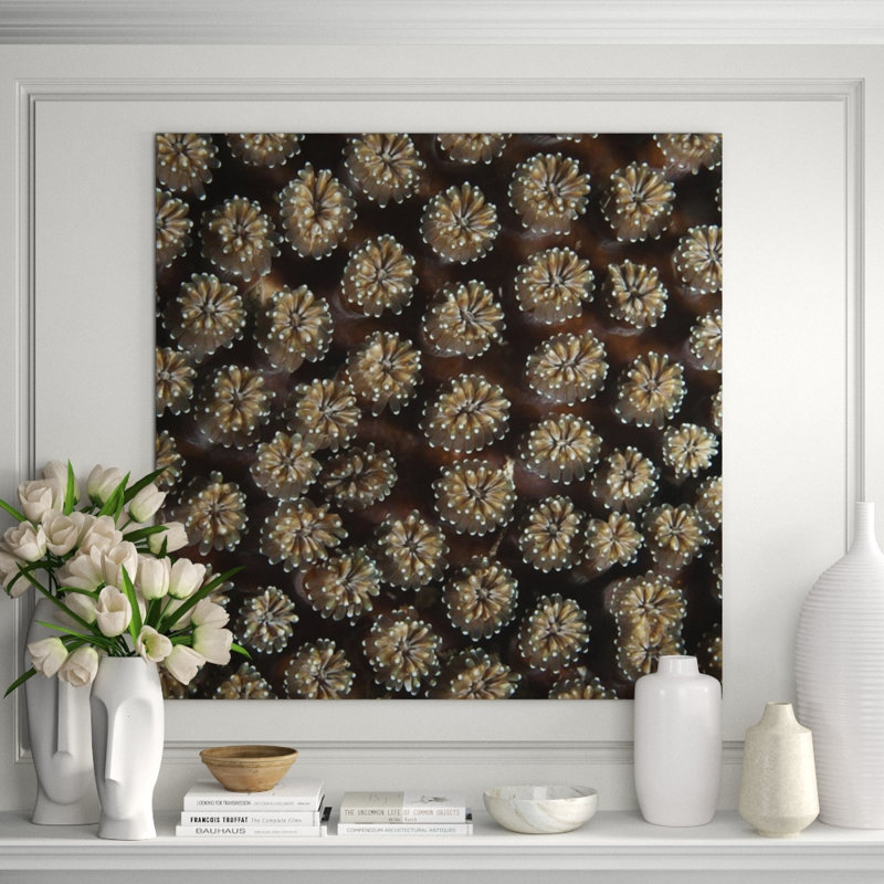 Underwater Beauty II Print by Austin Beiv, Outdoor, 22" H x 22" W x 1.5" D