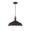 Luminaire suspendu en forme de dôme à 1 lumière Glenover-805046784-767036867
