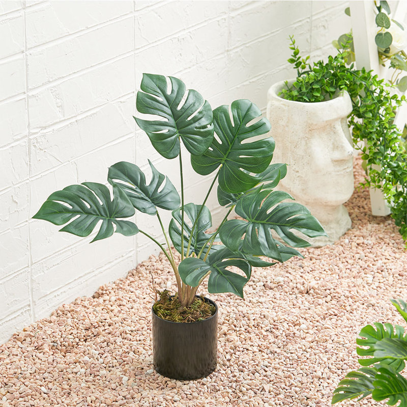 53 cm H Faux Philodendron Plant in Plastic Pot