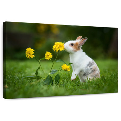 Brampt Bunny And Flowers