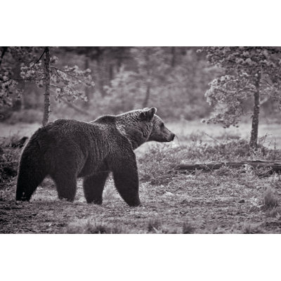 Sentinel - Wrapped Canvas Art Print