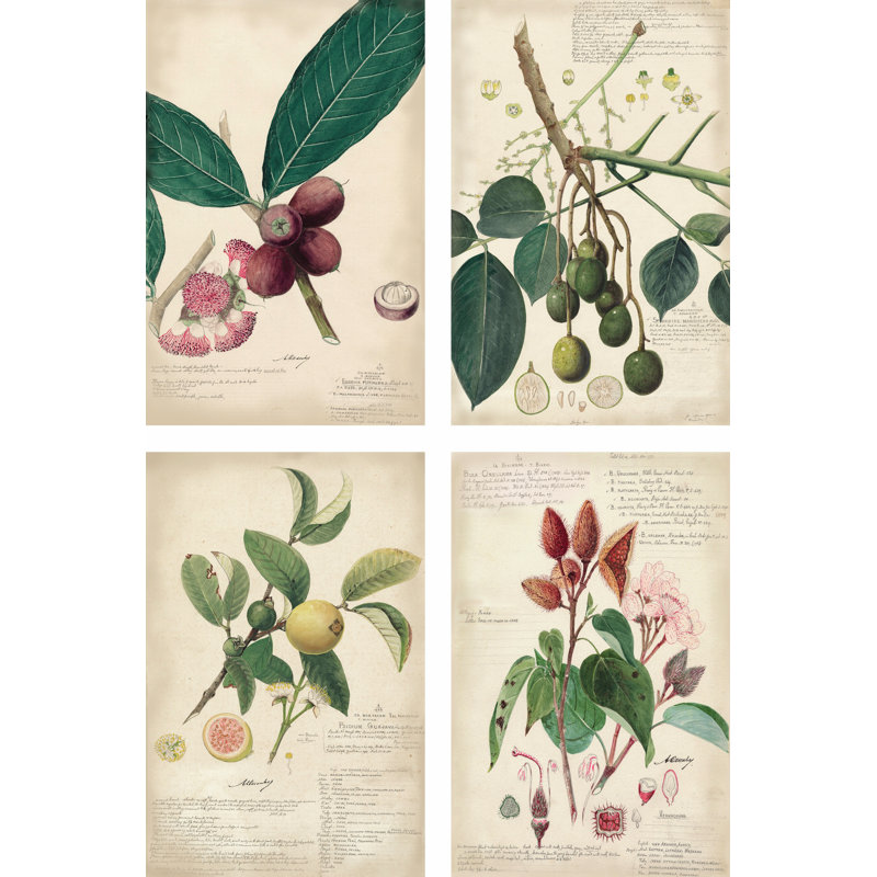 Mini Descubes by A. Descubes - 4 Piece Wrapped Canvas Print Set, 46cm H x 30cm W x 3.8cm D
