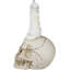 Figurine Beachum Ebros Ossuary-22269845