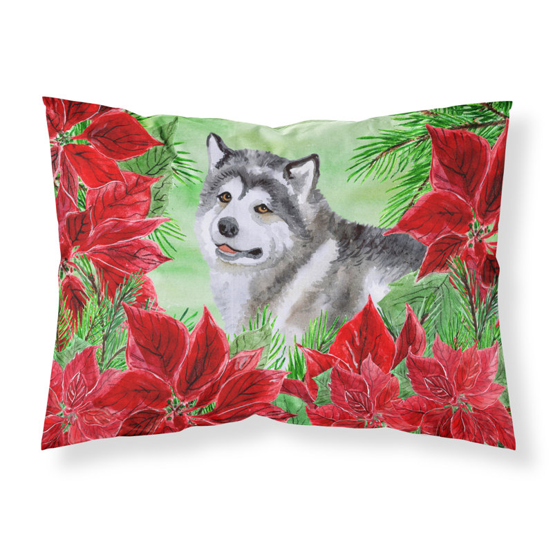 Microfiber, Alaskan Malamute