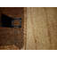 Striped Area Rug in Black