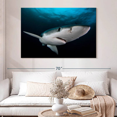 Requin bleu sous-marin Brampt