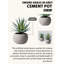 Ensemble de pots Evergreen-828507521
