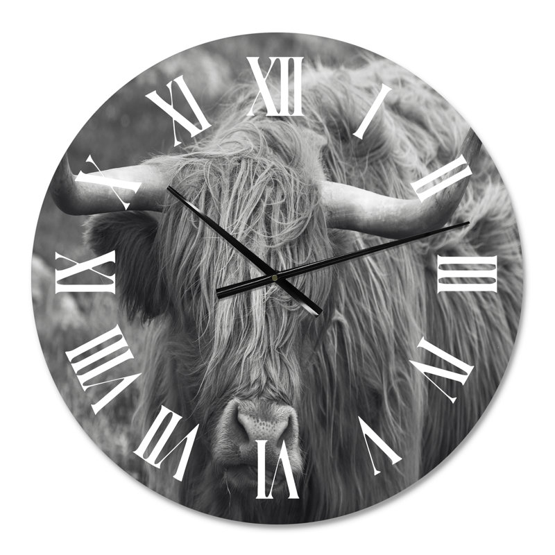 Vache écossaise sur une ferme - horloge murale, Moyenne