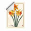 Daffodil Study Botanical - Framed Print-774856471-774856478