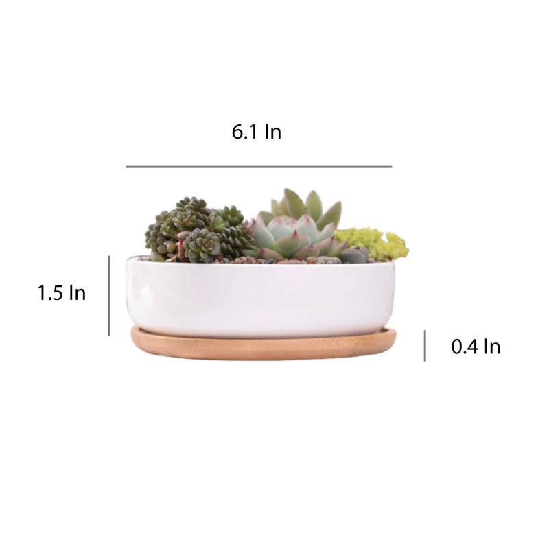 Sarah-Jane Pot Planter