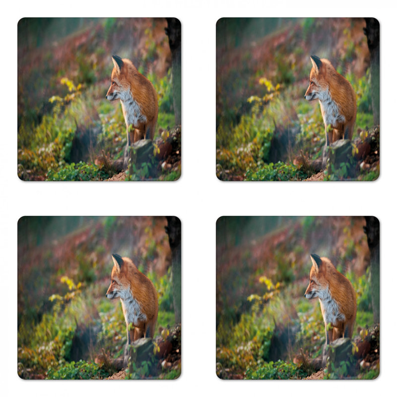 Sous-verre fox