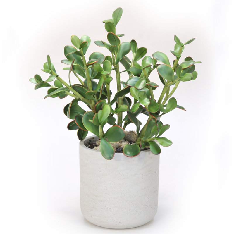 18'' Faux Succulent Plant in Stone Pot