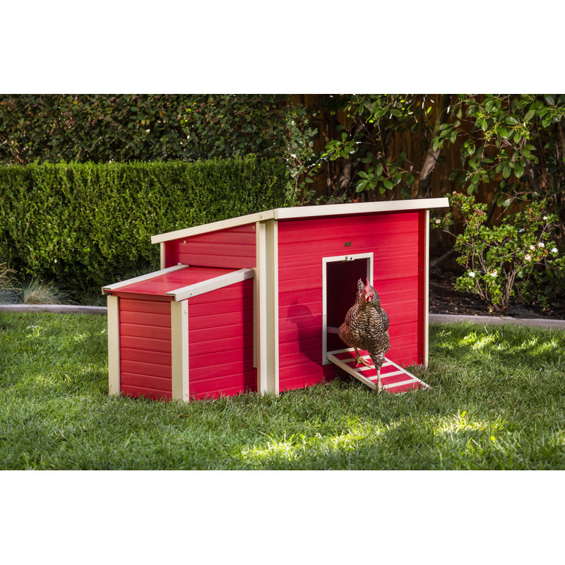 Poulailler pour la cour avec boîte de nidification intégrée ECOFLEX Achilles, Rouge