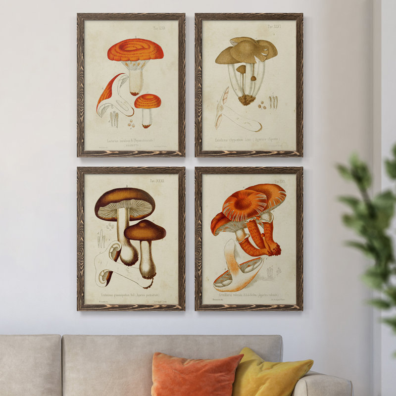 Champignon Variétés Ix - ensemble de 4 reproductions d'art sur toile encadrées, H 37,5 po x l 110 po x P 1,5 po, Noyer
